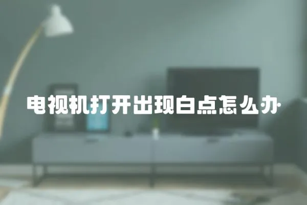 電視機打開出現白點怎么辦
