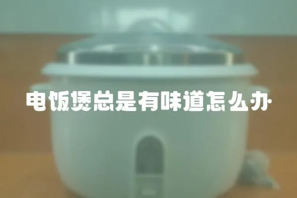 電飯煲總是有味道怎么辦