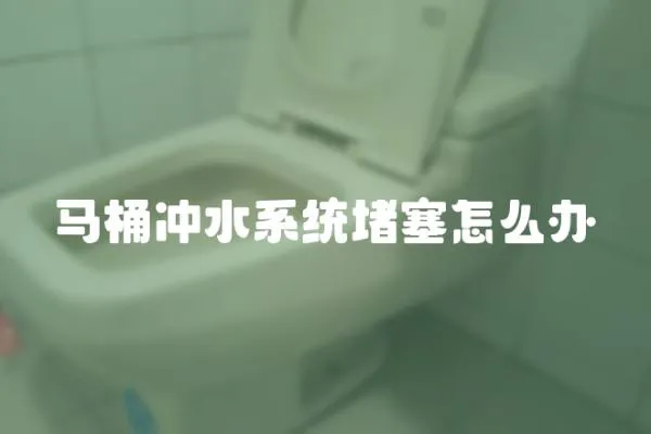 馬桶沖水系統堵塞怎么辦