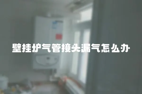 壁掛爐氣管接頭漏氣怎么辦