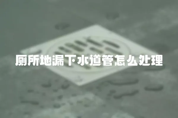 廁所地漏下水道管怎么處理