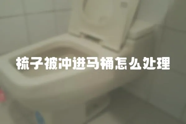 梳子被沖進馬桶怎么處理