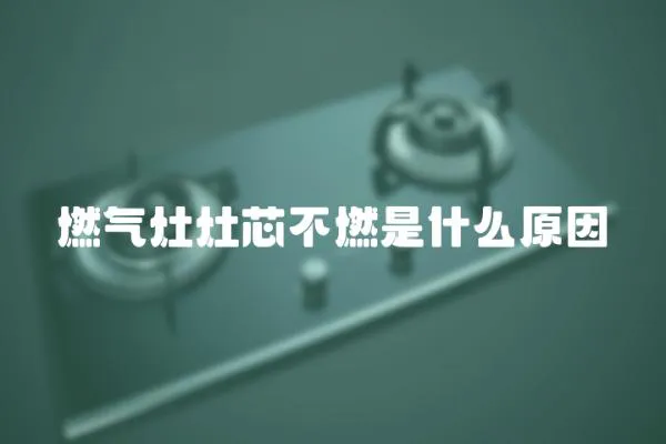 燃?xì)庠钤钚静蝗际鞘裁丛?></a></div>
                    <div   id=