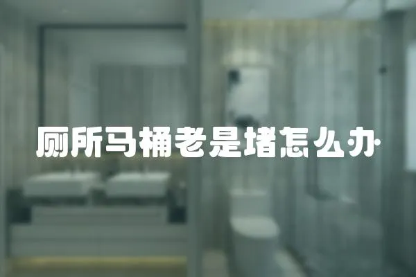 廁所馬桶老是堵怎么辦