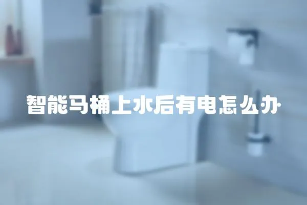 智能馬桶上水后有電怎么辦