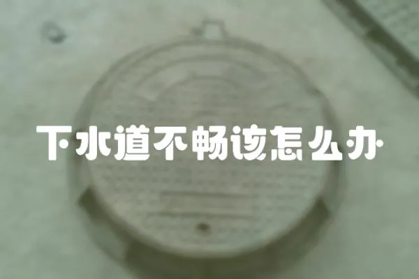 下水道不暢該怎么辦