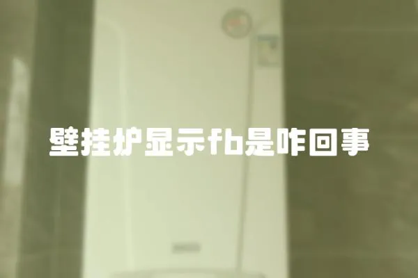 壁掛爐顯示fb是咋回事