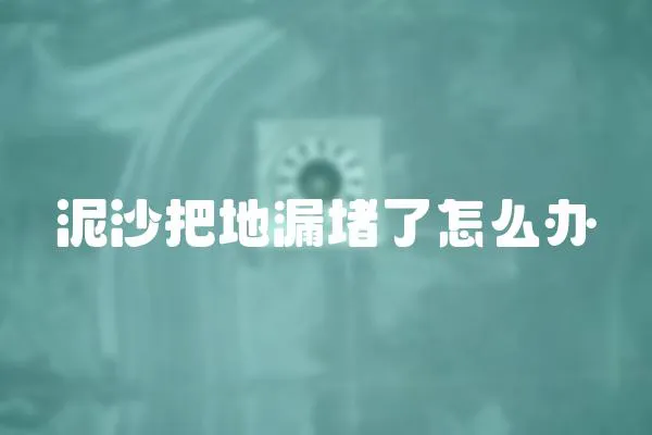 泥沙把地漏堵了怎么辦