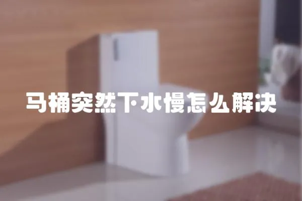 馬桶突然下水慢怎么解決