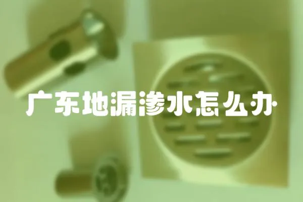 廣東地漏滲水怎么辦