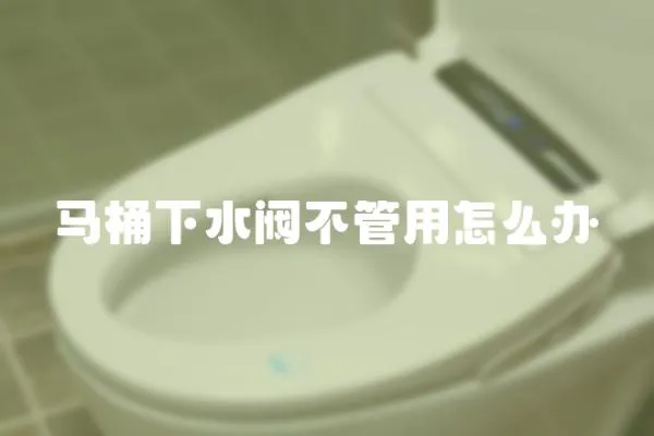 馬桶下水閥不管用怎么辦
