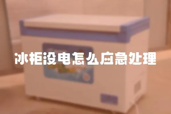 冰柜沒電怎么應急處理