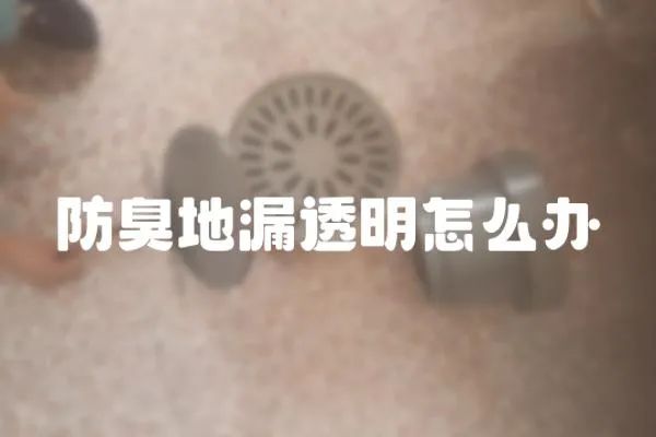 防臭地漏透明怎么辦
