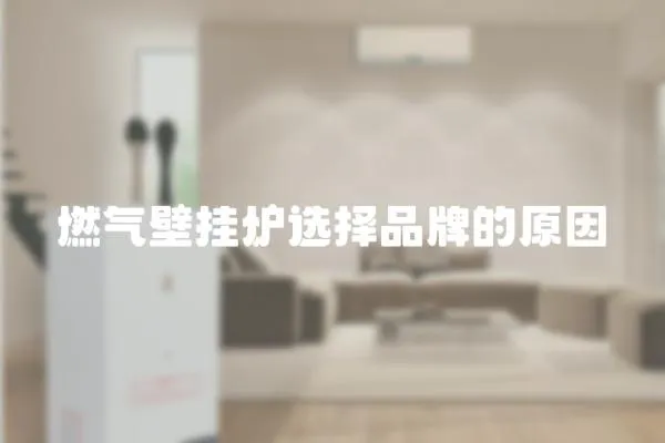 燃?xì)獗趻鞝t選擇品牌的原因