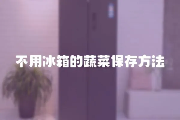 不用冰箱的蔬菜保存方法