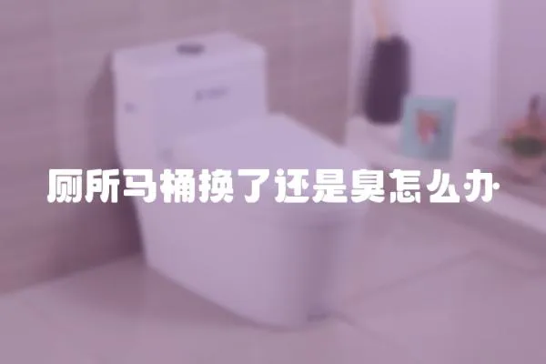 廁所馬桶換了還是臭怎么辦