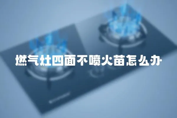 燃?xì)庠钏拿娌粐娀鹈缭趺崔k