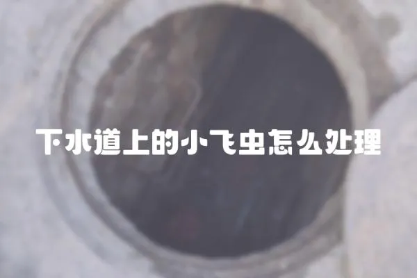 下水道上的小飛蟲怎么處理