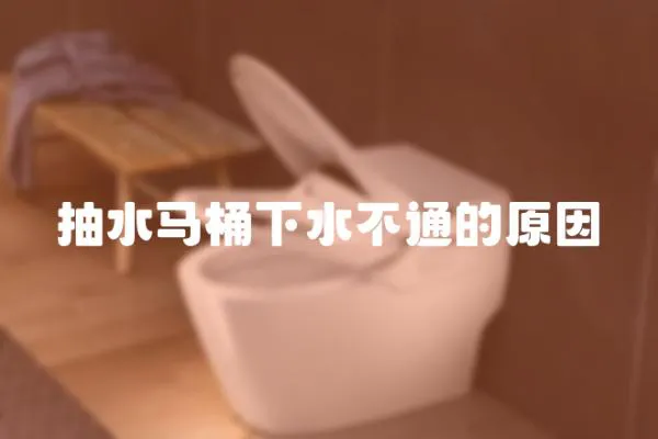 抽水馬桶下水不通的原因