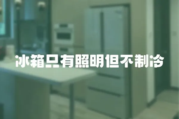 冰箱只有照明但不制冷