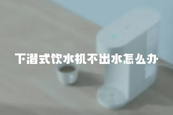 下潛式飲水機不出水怎么辦