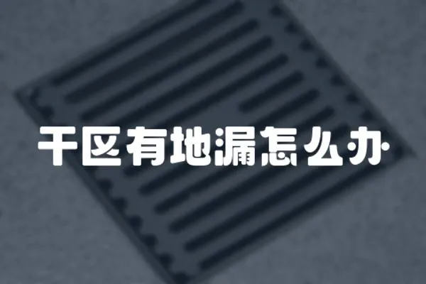 干區有地漏怎么辦