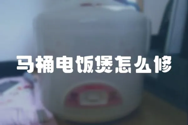 馬桶電飯煲怎么修