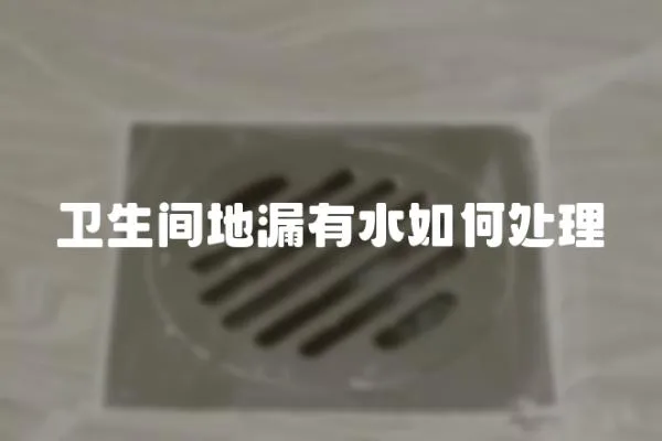 衛生間地漏有水如何處理