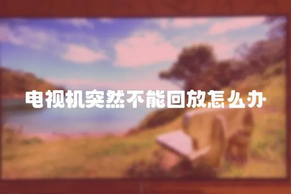 電視機突然不能回放怎么辦