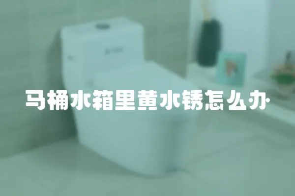 马桶水箱里黄水锈怎么办