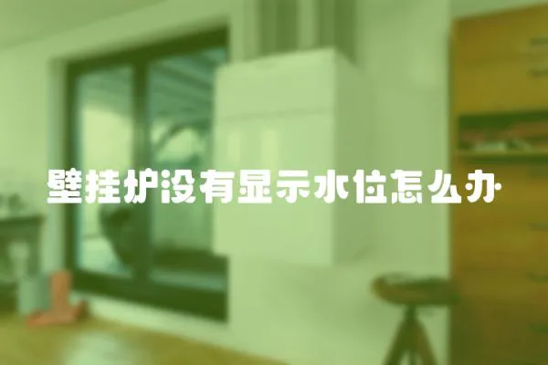 壁掛爐沒有顯示水位怎么辦