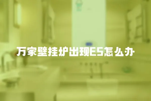萬家壁掛爐出現E5怎么辦