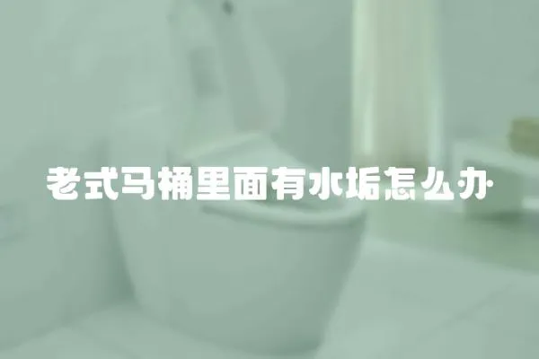 老式馬桶里面有水垢怎么辦