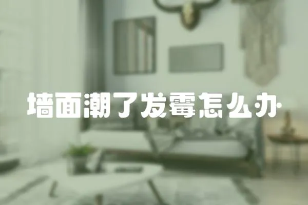 墻面潮了發(fā)霉怎么辦