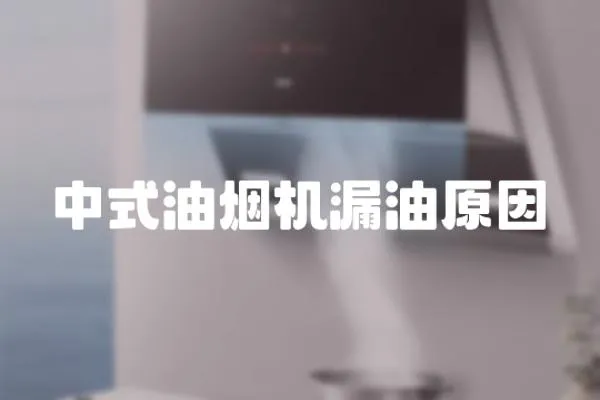 中式油煙機漏油原因