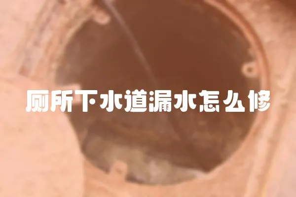 廁所下水道漏水怎么修