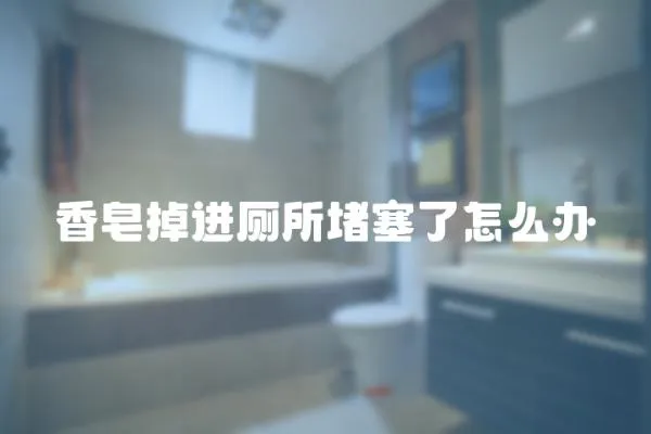 香皂掉進廁所堵塞了怎么辦