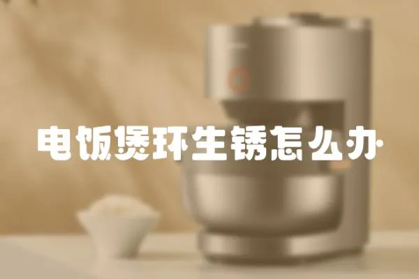 電飯煲環(huán)生銹怎么辦
