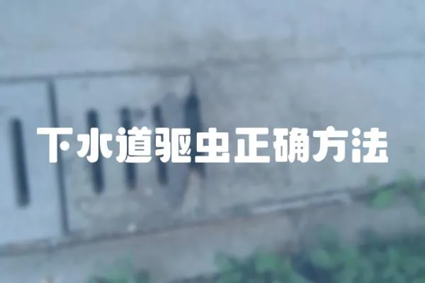 下水道驅(qū)蟲(chóng)正確方法