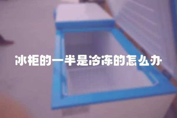 冰柜的一半是冷凍的怎么辦