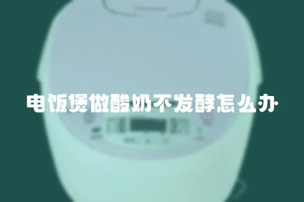 電飯煲做酸奶不發酵怎么辦