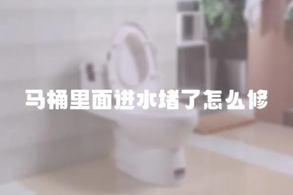 馬桶里面進水堵了怎么修
