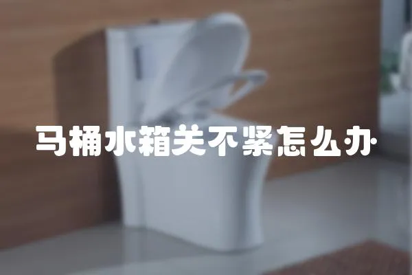 馬桶水箱關不緊怎么辦