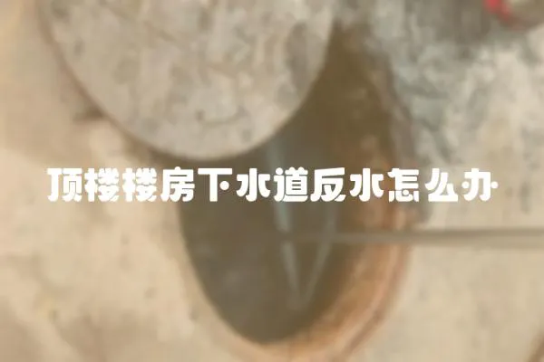頂樓樓房下水道反水怎么辦