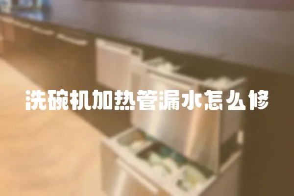 洗碗機加熱管漏水怎么修