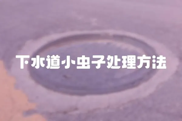 下水道小蟲子處理方法