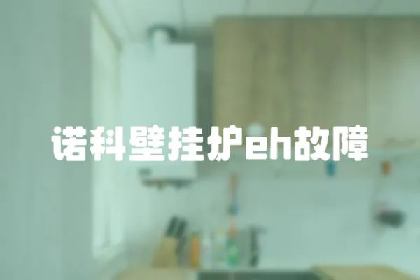 諾科壁掛爐eh故障