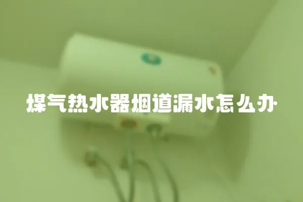 煤氣熱水器煙道漏水怎么辦