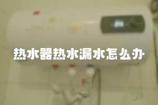 熱水器熱水漏水怎么辦