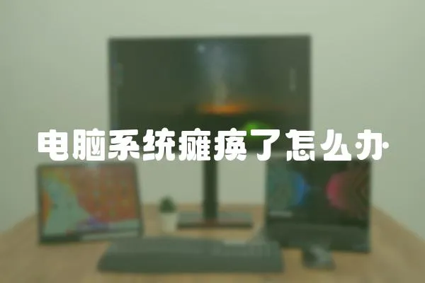 電腦系統癱瘓了怎么辦